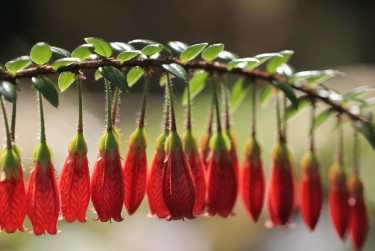 佛山禅城区4私人快速借钱网，轻松解决资金难题