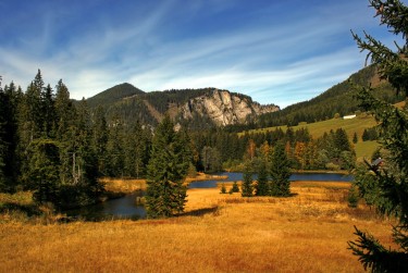 佛山禅城区4民间私贷攻略：揭秘低成本借贷的秘密