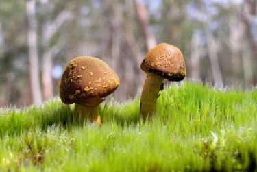 佛山禅城区4私人老板放款：轻松融资的秘密通道